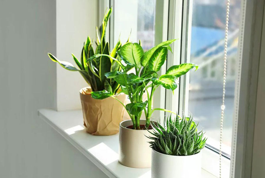 15 món quà tặng vợ ngày kỷ niệm cưới ý nghĩa nhất